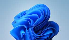 Windows 11 Bloom wallpaper with light background