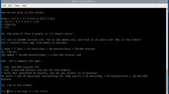 Llama 3 responses on the Raspberry Pi 5 CLI