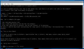 Llama 3 responses on the Raspberry Pi 5 CLI