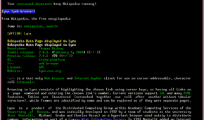 Screenshot of Lynx browser displaying a Wikipedia page