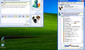 A screenshot showing the MSN Messenger running on Windows XP OS.