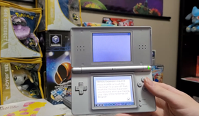 Nintendo DS Browser displaying an error message due to the lack of the memory expansion