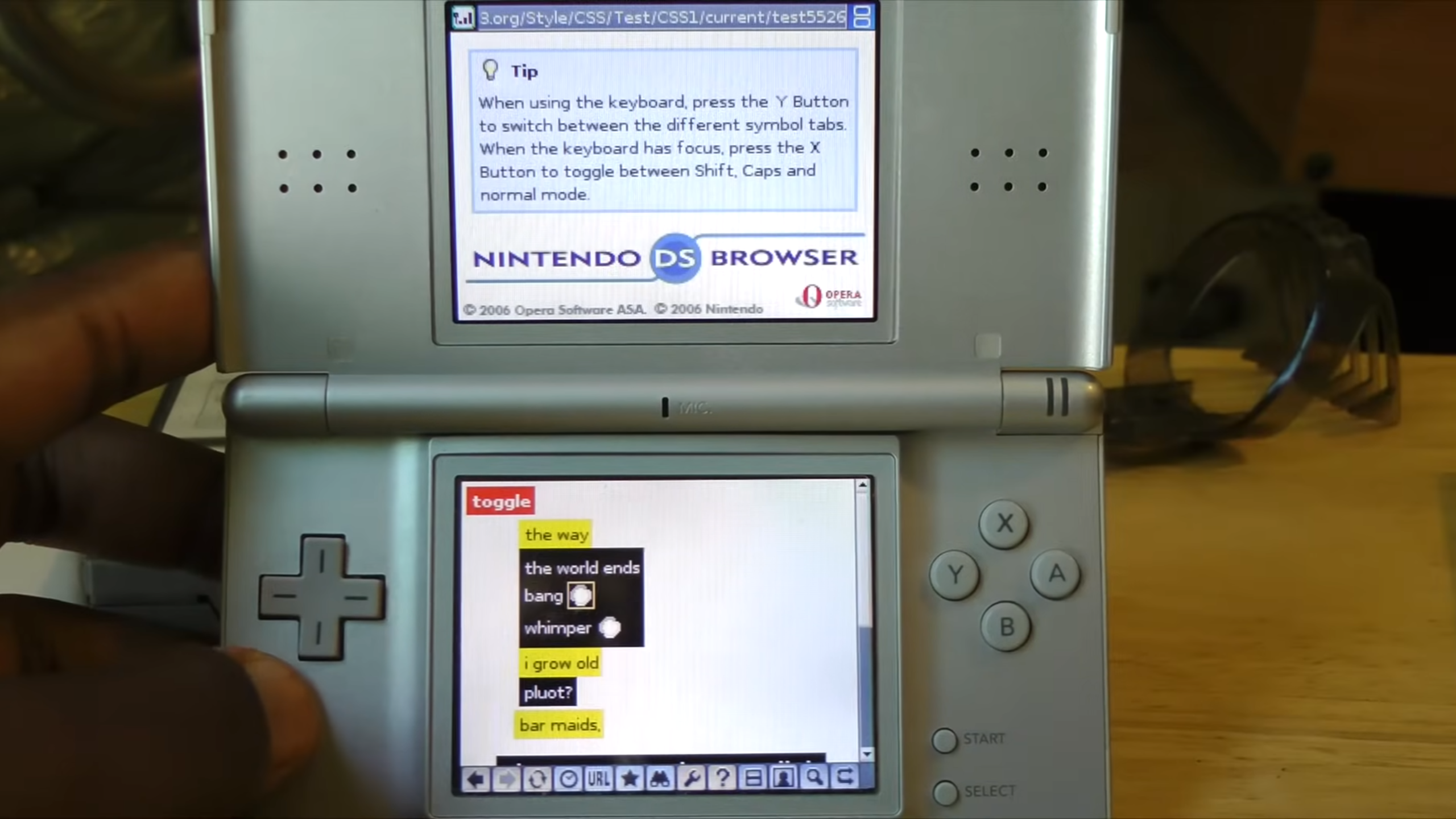 Nintendo DS Browser displaying a website with some rendering errors