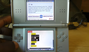 Nintendo DS Browser displaying a website with some rendering errors