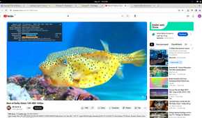 Orange Pi OS(Arch) browser