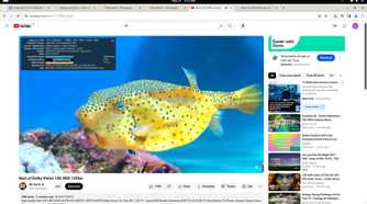 Orange Pi OS(Arch) browser