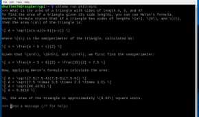 Phi-3 responses on Raspberry Pi 5