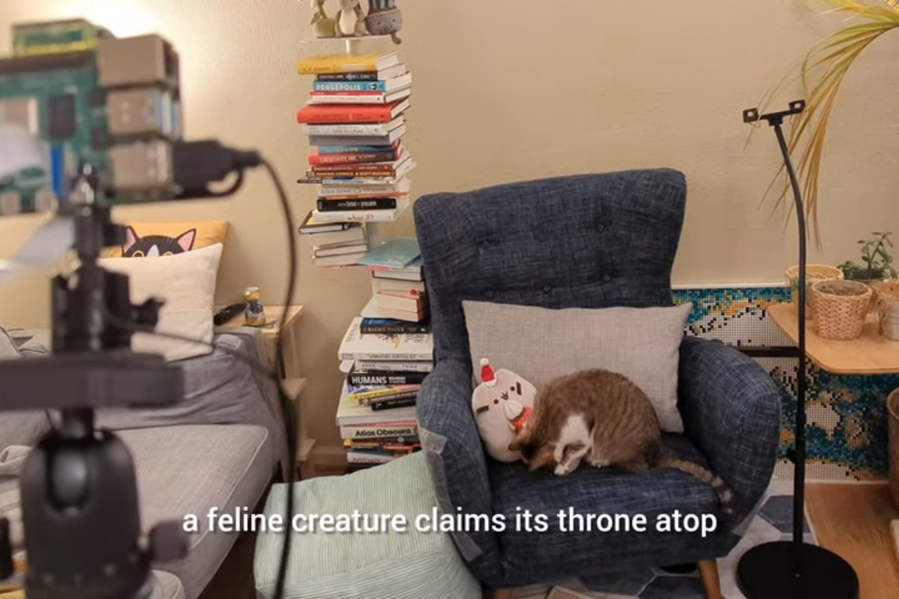 The Raspberry Pi cat snitch making a report