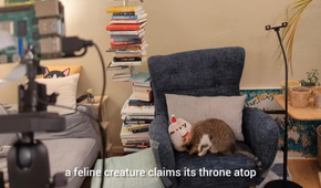 The Raspberry Pi cat snitch making a report