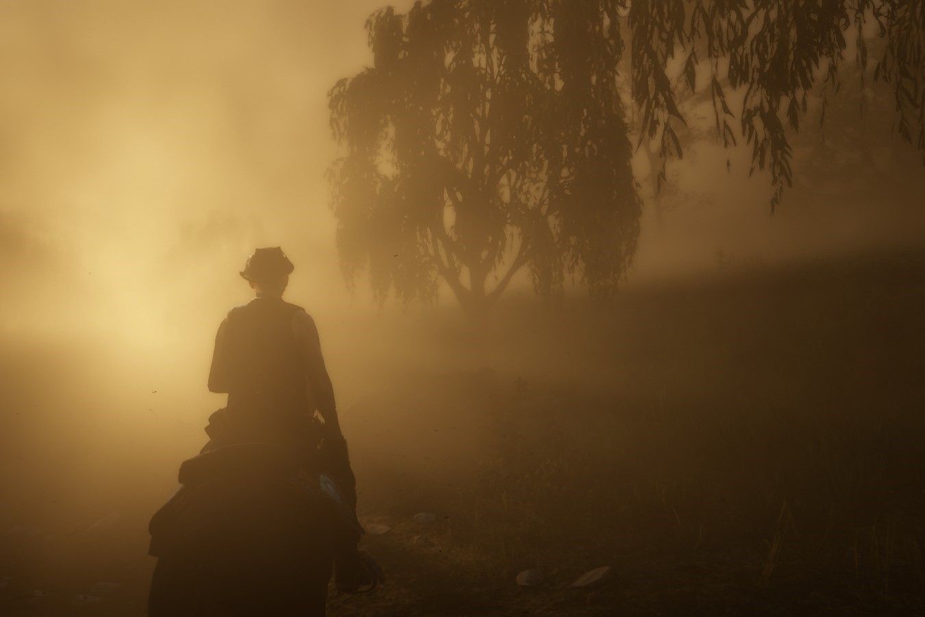 Screenshot from Red Dead Redemption 2 showing fog