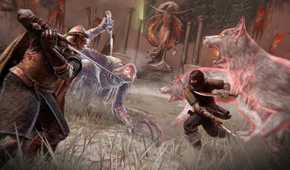 elden ring fighting with spirits