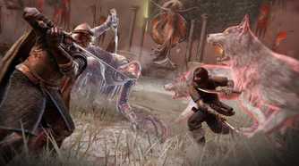 elden ring fighting with spirits