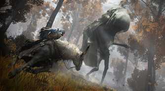 elden ring wormface encounter