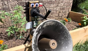 The talking plant project