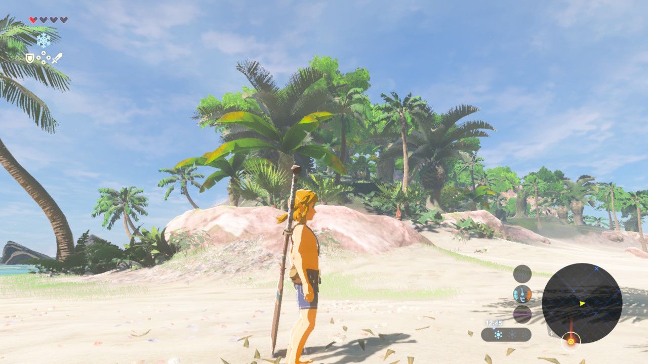 The Legend of Zelda Breath of the WildScreenshot of The Legend of Zelda Breath of the Wild depicting Link on a tropical island