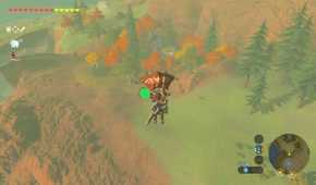 Link gliding over a field with grass and multi-colored trees