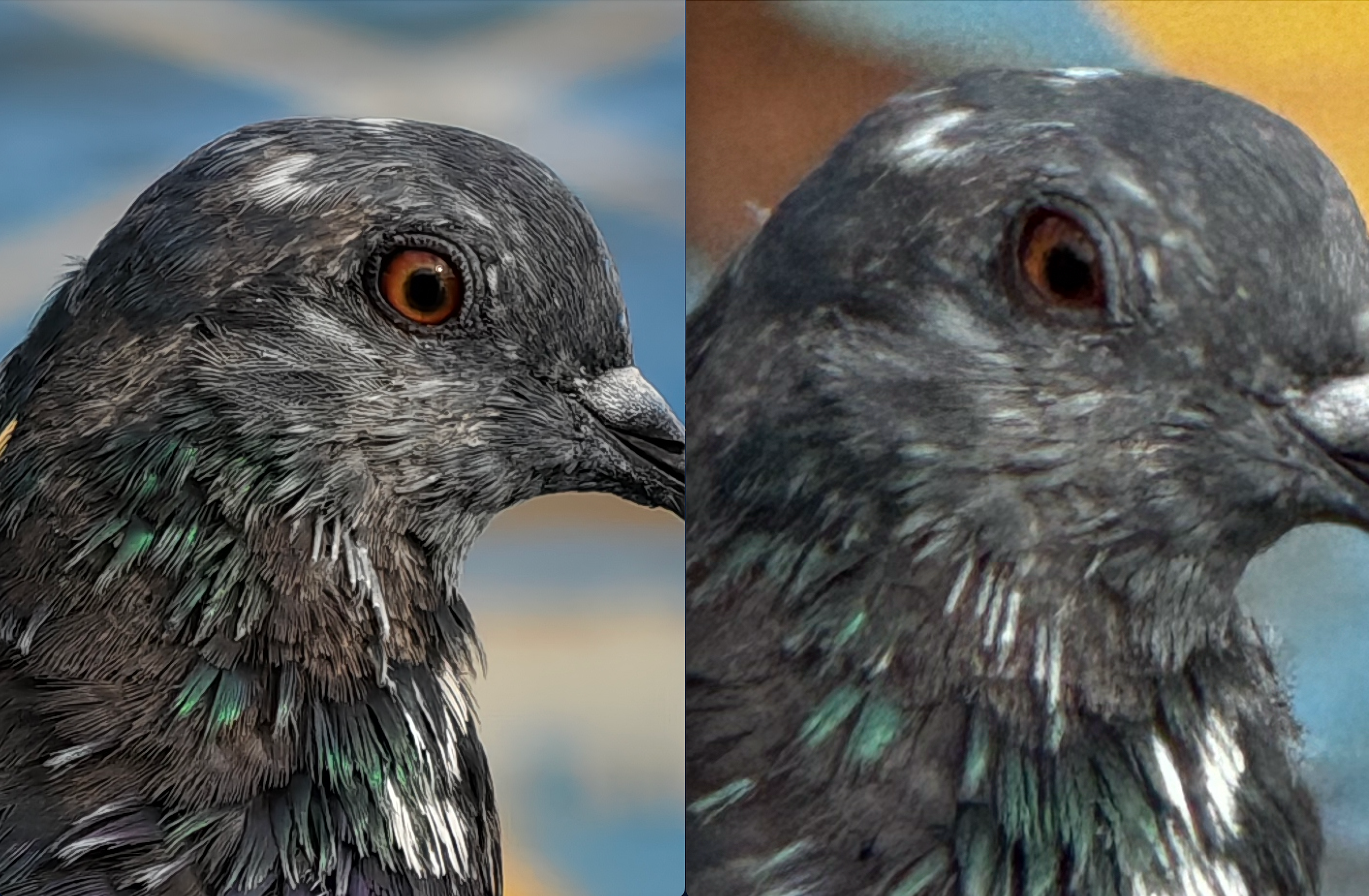 Vivo X100 Ultra vs iPhone 15 Pro Max camera shootout: A lopsided affair