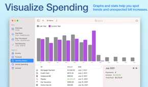A screenshot showing Chronicle visualize spending