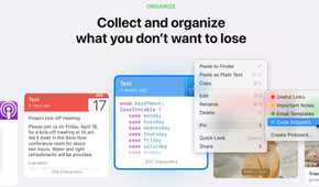 A screenshot showing Paste organization