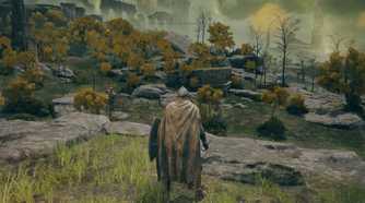 Elden Ring running at 60FPS thanks to Lossless Scaling