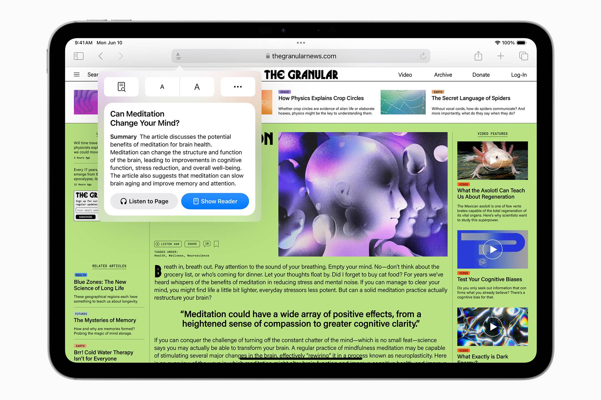 A Safari webpage on iPad OS18 showing summary