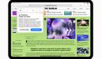 A Safari webpage on iPad OS18 showing summary