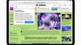 A Safari webpage on iPad OS18 showing summary