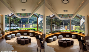 Main camera, Vivo X100 Ultra (left); iPhone 15 Pro Max (right)