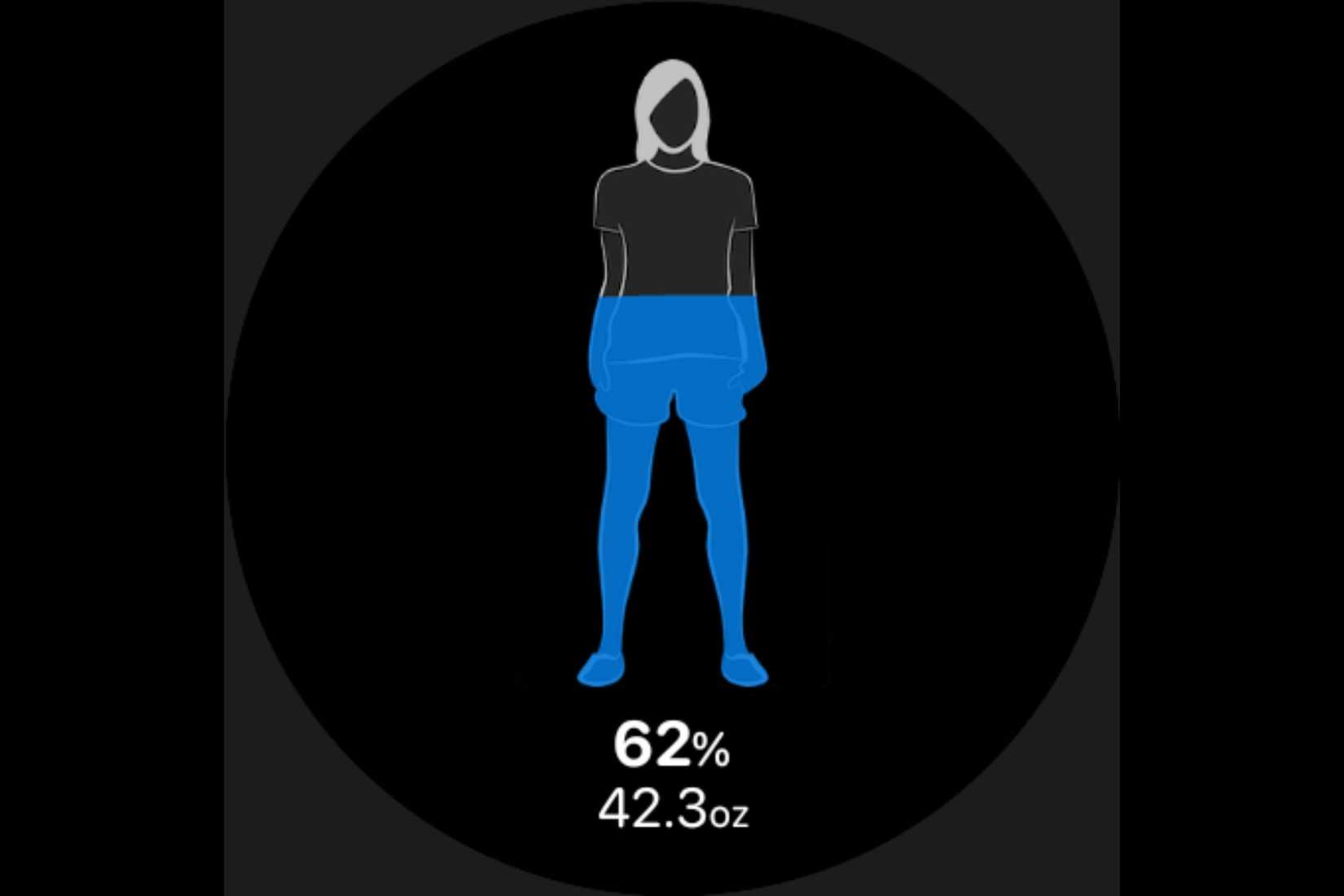 A screenshot showing the WaterMinder WearOS app.