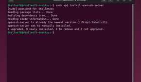 Ubuntu terminal after installing OpenSSH
