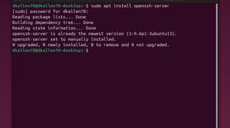 Ubuntu terminal after installing OpenSSH