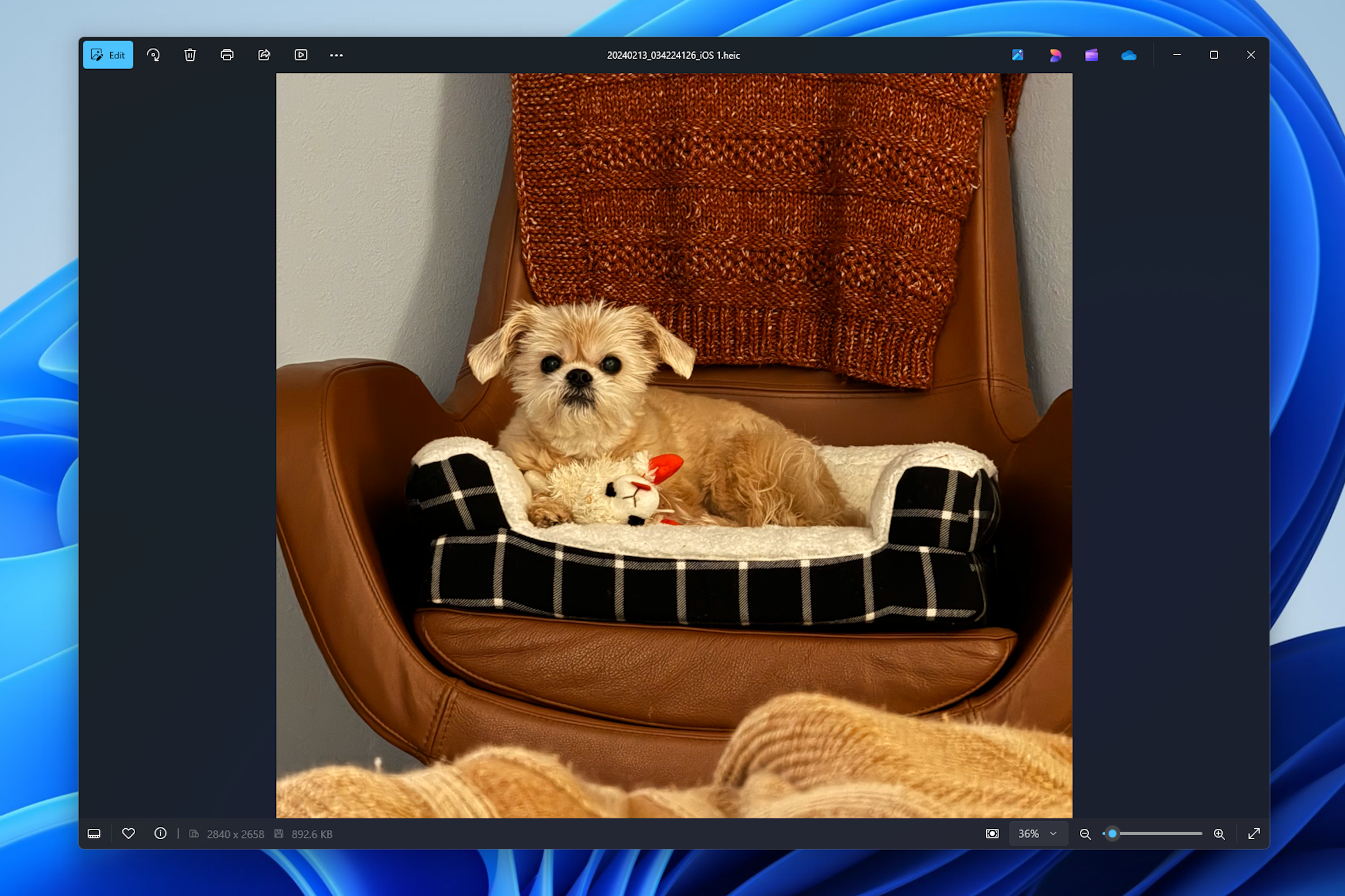 Here are a few different ways to exit full screen on Windows