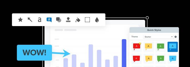 A screenshot showing Snagit