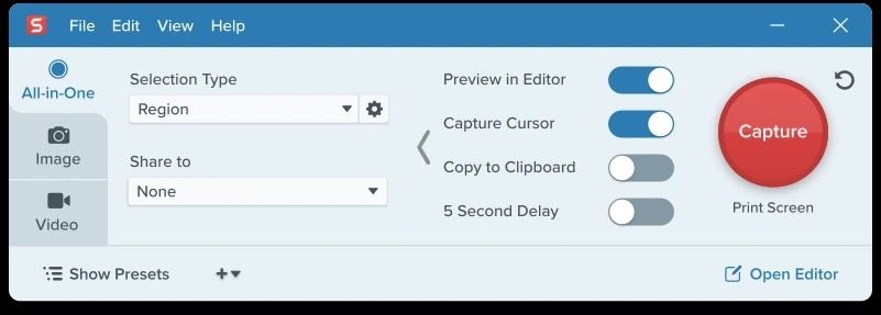 A screenshot showing Snagit editor