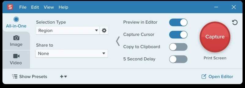 A screenshot showing Snagit editor