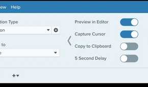 A screenshot showing Snagit editor