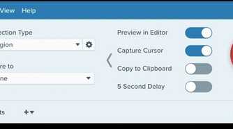 A screenshot showing Snagit editor