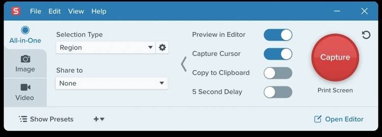 A screenshot showing Snagit editor