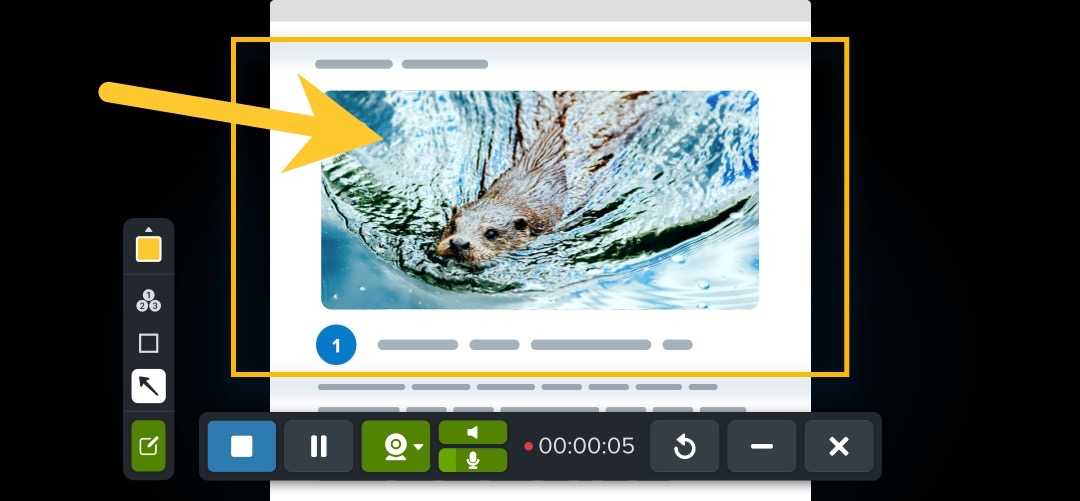 A screenshot showing Snagit tools
