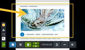 A screenshot showing Snagit tools