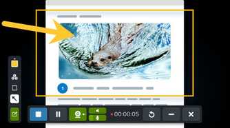 A screenshot showing Snagit tools