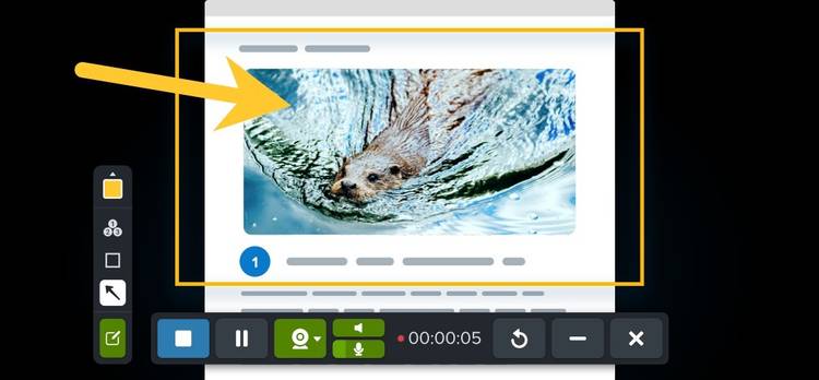 A screenshot showing Snagit tools