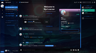 Clear Vision theme used in Discord