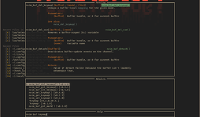 Neovim 1