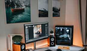A PC setup with a PC, monitor, plant on the speaker, and some paintings on the wall