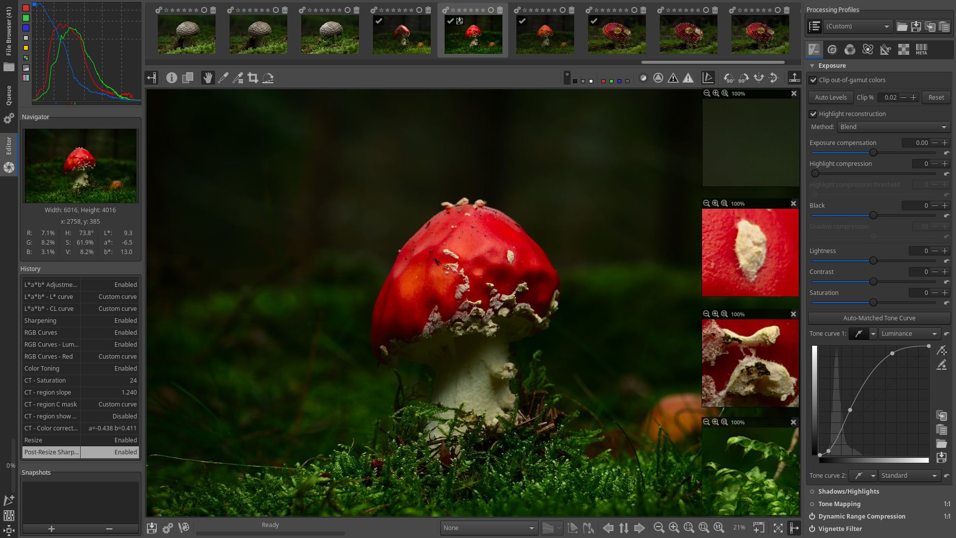 RawTherapee plugin for GIMP