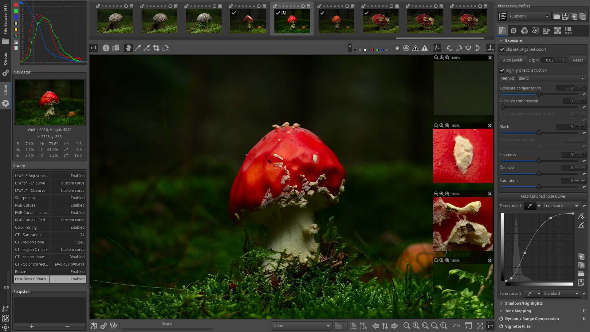 RawTherapee plugin for GIMP