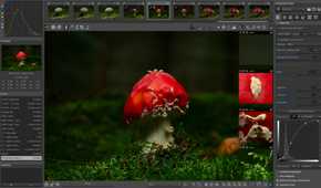RawTherapee plugin for GIMP