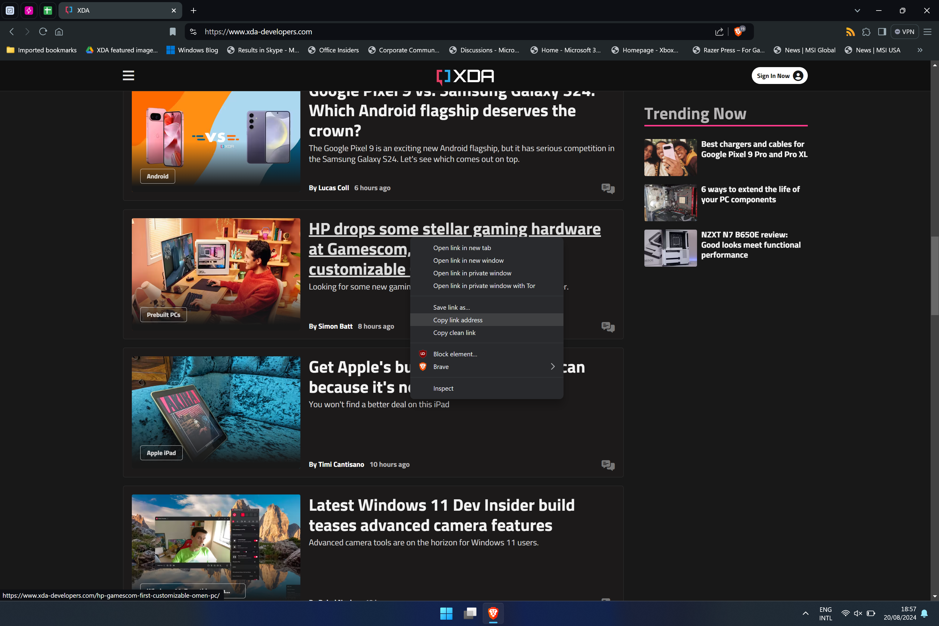 Brave browser (1)