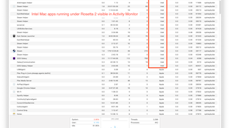The macOS Activity Monitor showing Intel Mac apps running under Rosetta 2.